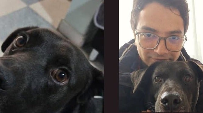 Cosmo denuncia l Bogotá l Enero 2025