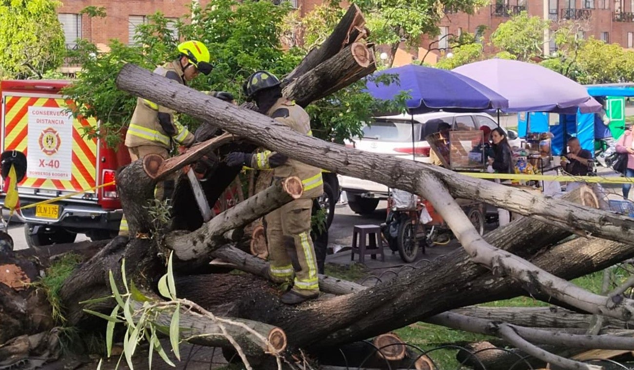Se desplomó gigantesco árbol en Bogotá: vecinos quedaron atrapados