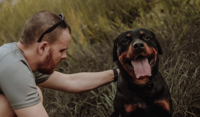 Autoridades pueden decomisar mascotas si no tienen documentos requeridos