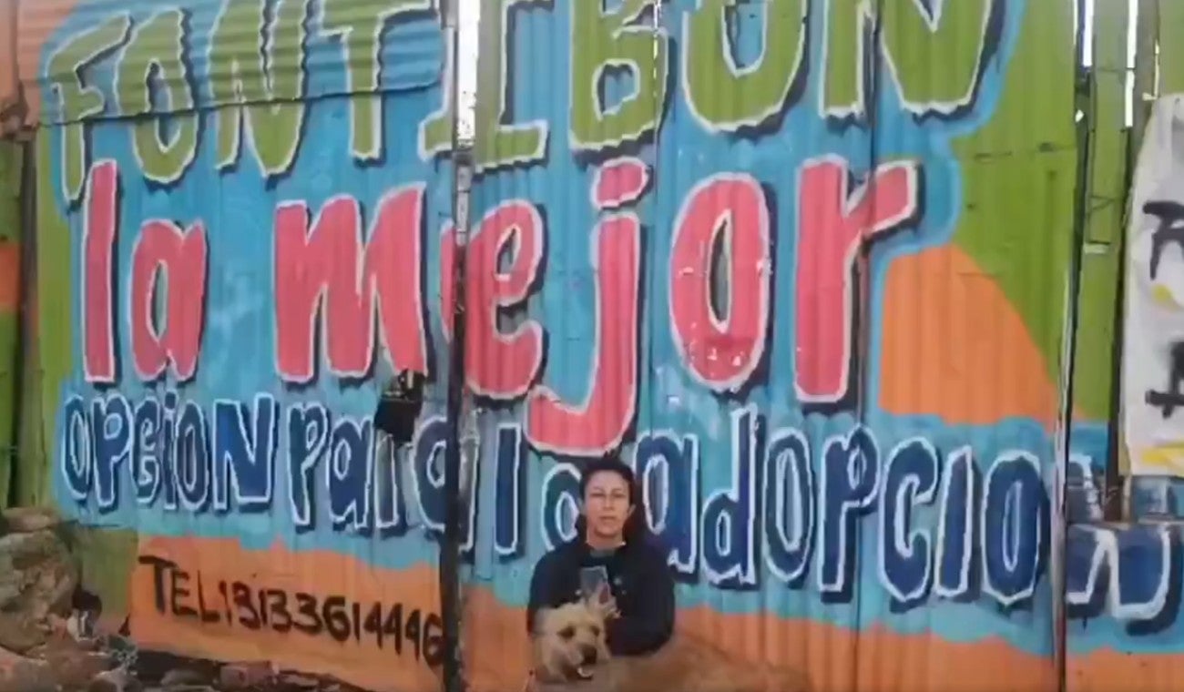 Galán desaloja fundación de animales en Fontibón: ciudadanos forman pelea