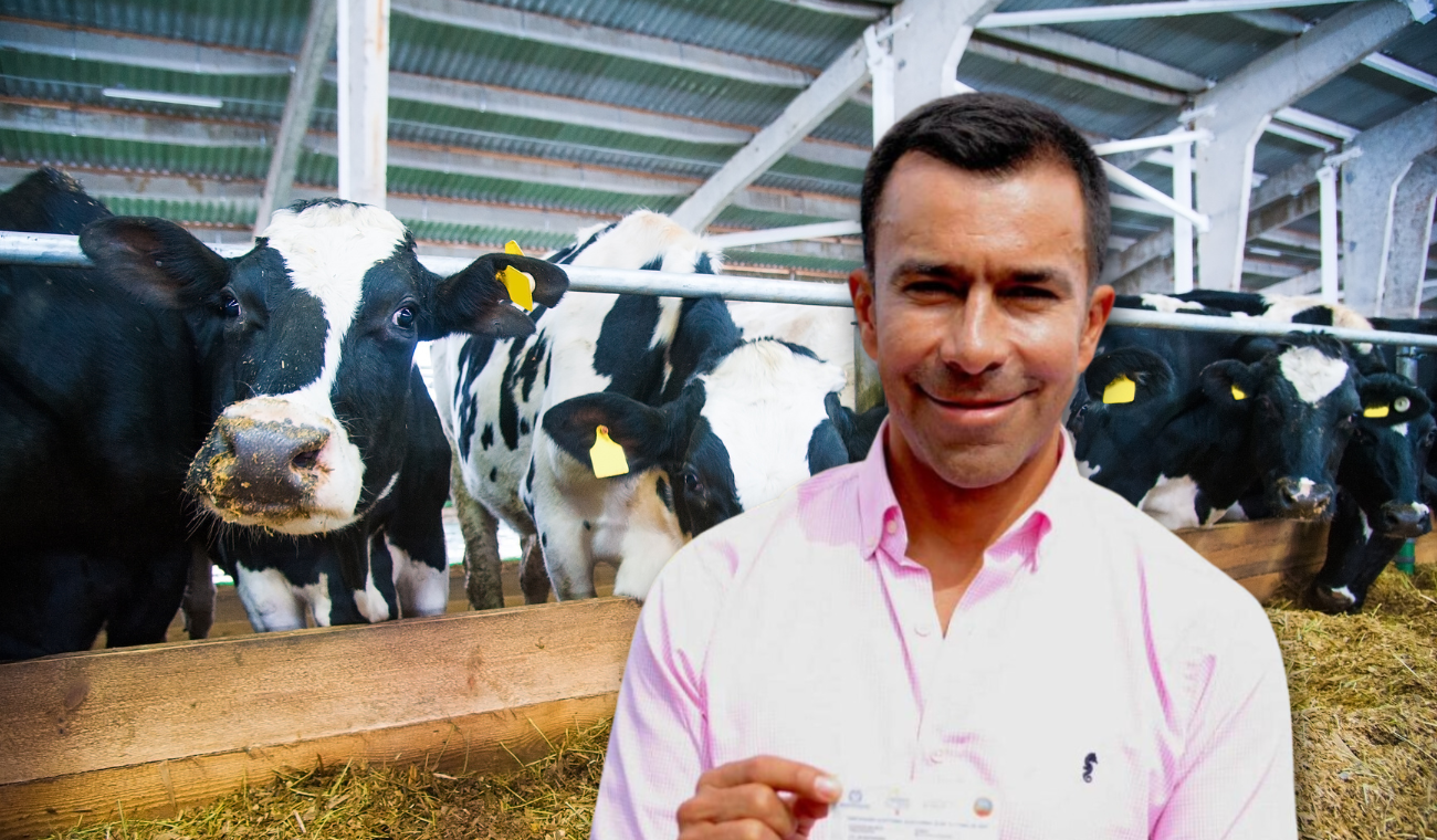 Rey toma radical medida por aumento en denuncias: animales ya no sufrirán