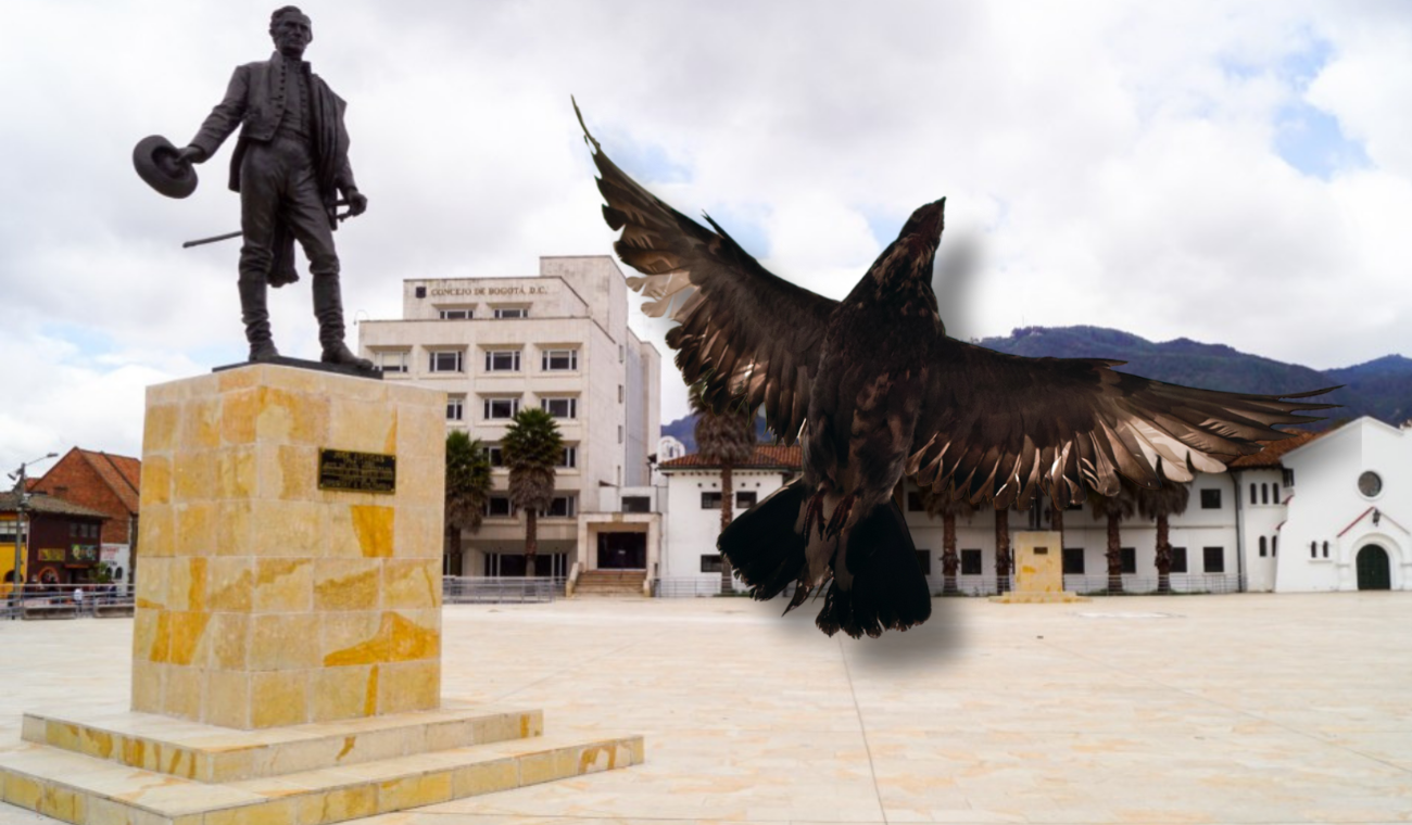 Ave se está robando el show en el Concejo de Bogotá: proyecto está avanzado