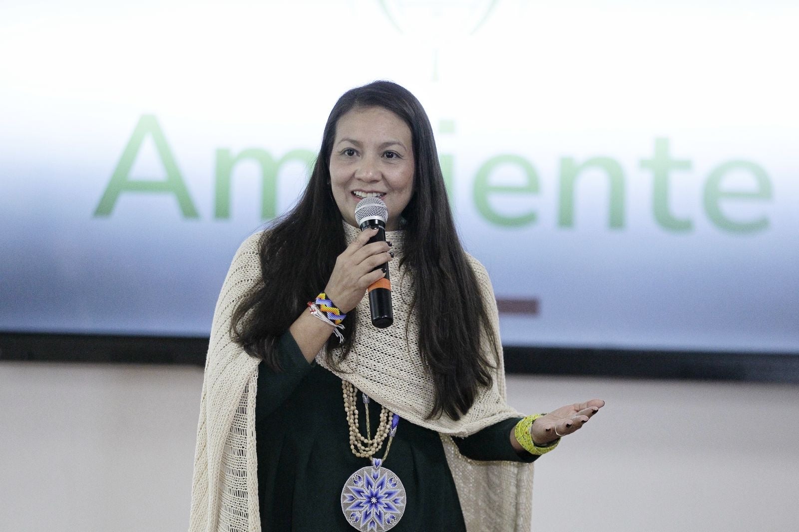 Lena Estrada Ministra de Ambiente