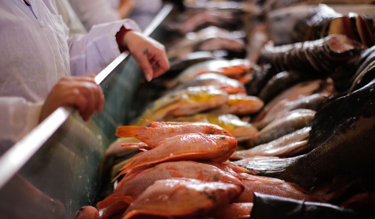 Pescado se puso barato en Semana Santa
