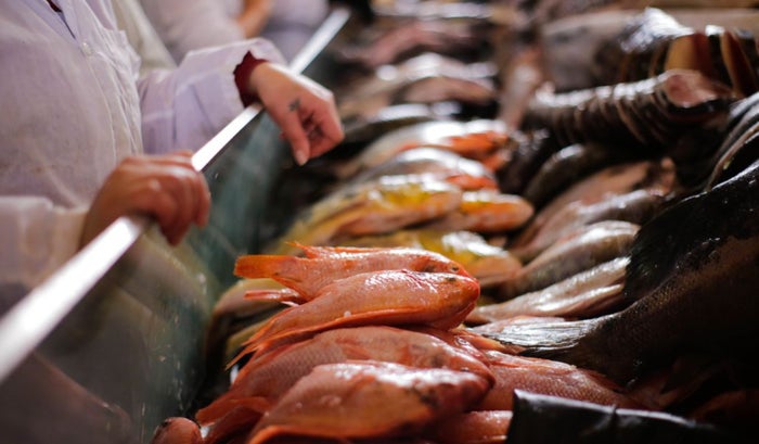 Pescado se puso barato en Semana Santa