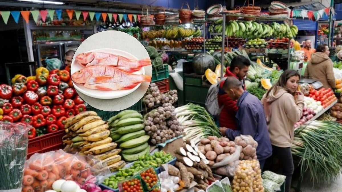 Mojarra roja en Corabastos: Precio hoy, jueves santo 17 de abril de 2025