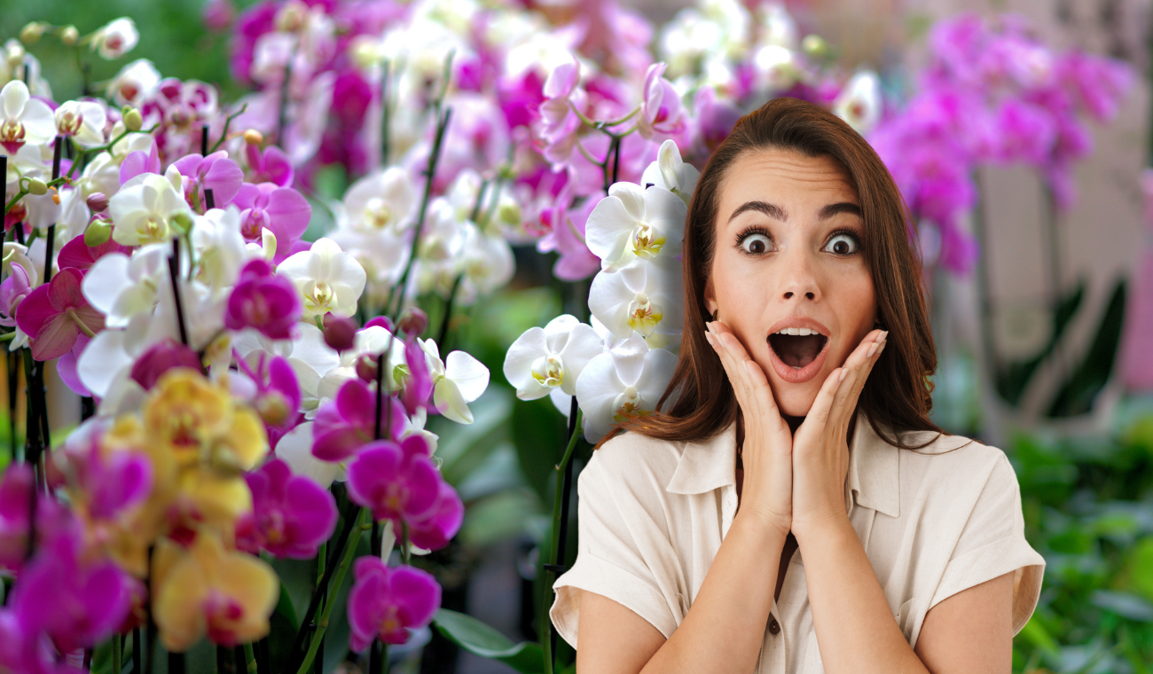 Fusagasugá deja 'boquiabiertos' a visitantes: jardín enamora en Semana Santa