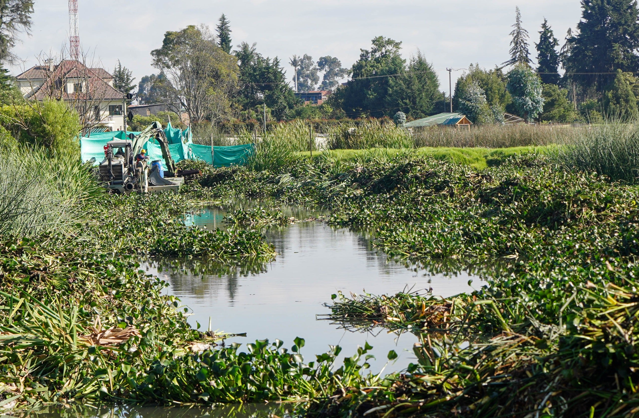 Humedal Gualí en Cundinamarca