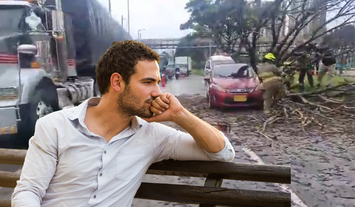 Gigantesco árbol se cae sobre un carro y causa tremendo trancón en Bogotá