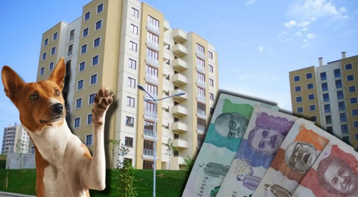 Tener mascota le saldrá caro si no cumple esta norma