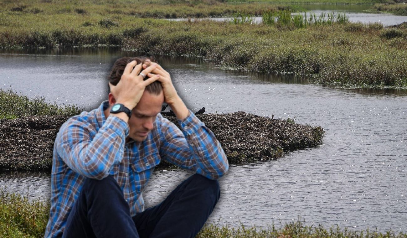 Especie invasora en Cundinamarca