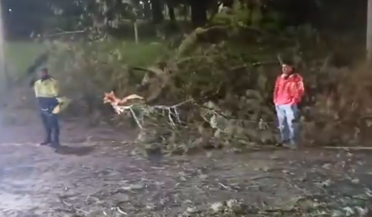 [Video] Conductores se salvaron de milagro: emergencia los dejó asustados