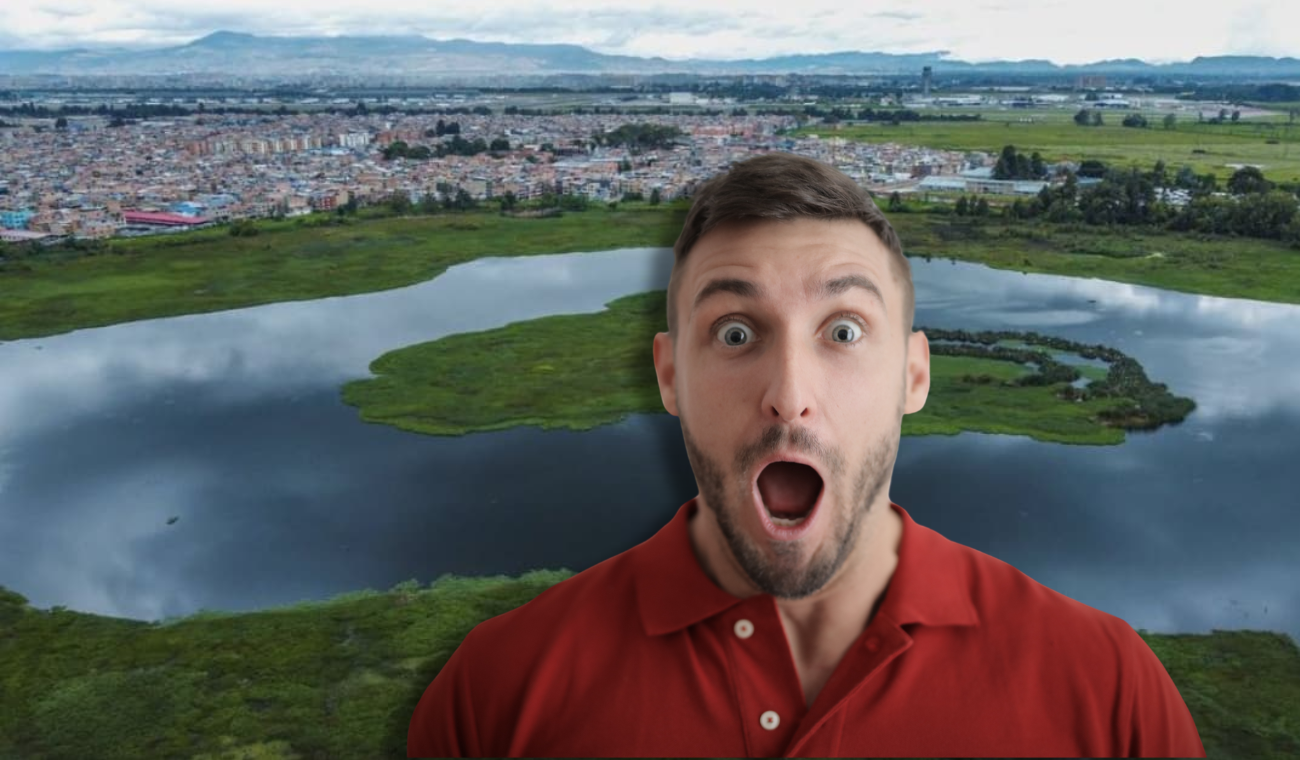 Humedales tienen sorpresa para visitantes: le tocará estar pilo pa' verla