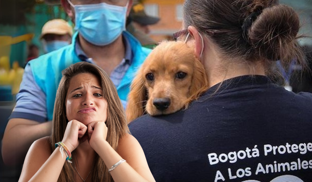 Bogotá se mamó: a dueños de mascotas les tocó ajuiciarse con nueva norma