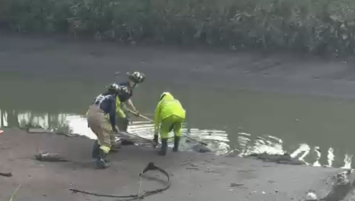 Cuerpo hallado en Bogotá