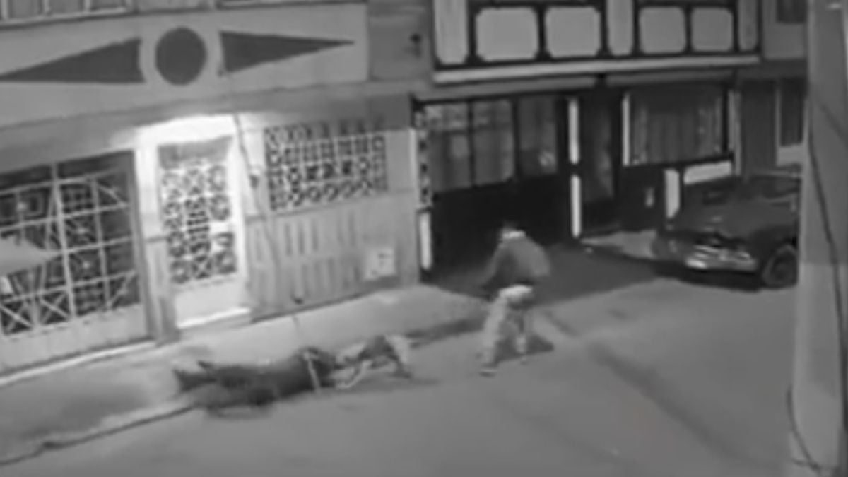 Ladrones usan perros para robarle el celular: víctima casi pierde el brazo