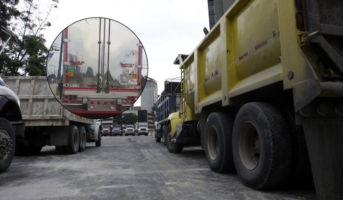 Mula se tomó carril exclusivo: andaba como Pedro por su casa