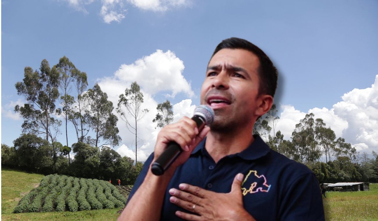 Ya no tendrá que hacer en el monte: Rey le pone la lupa a municipios