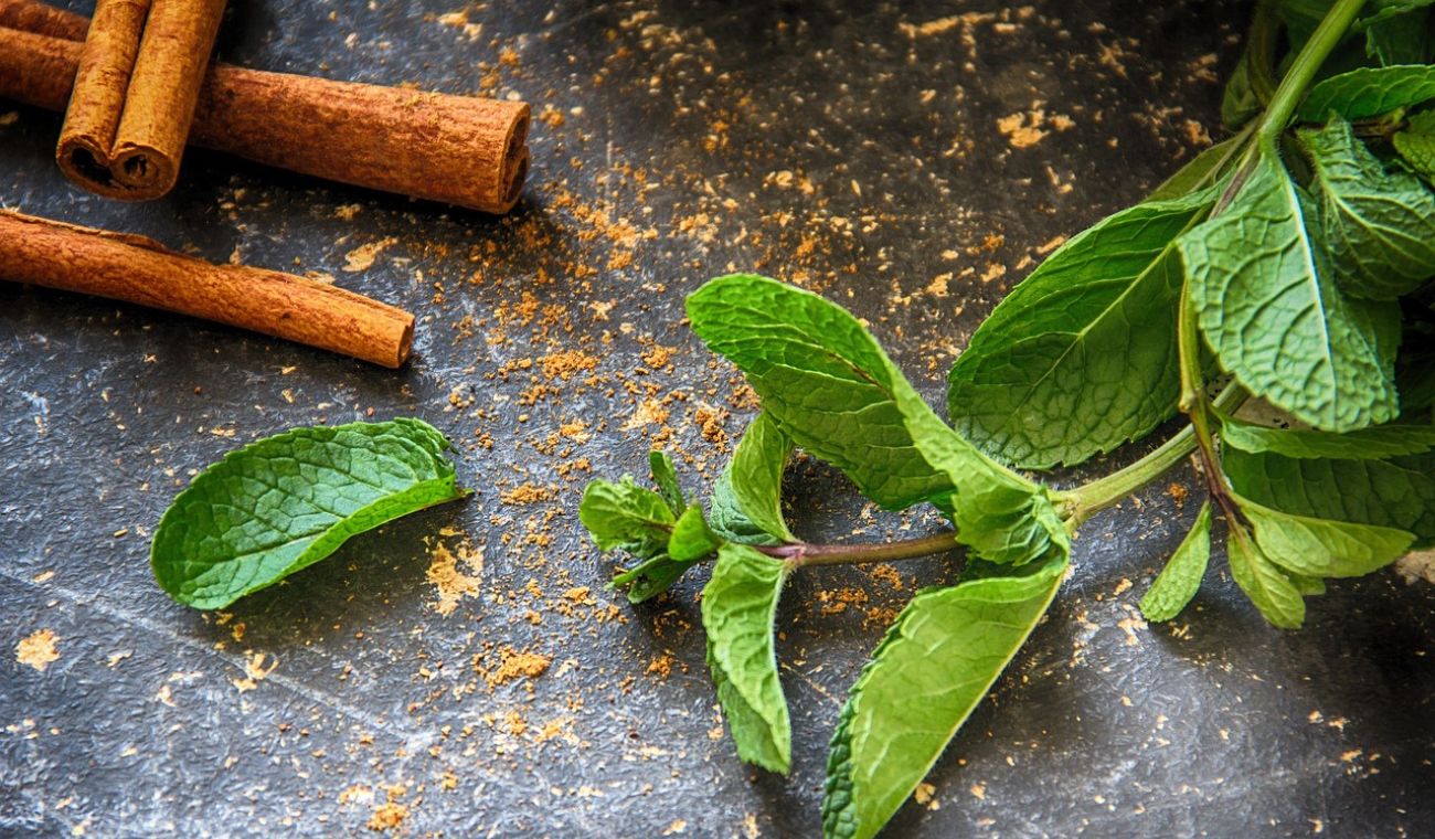 Ritual de los 7 días con laurel y canela para atraer la prosperidad