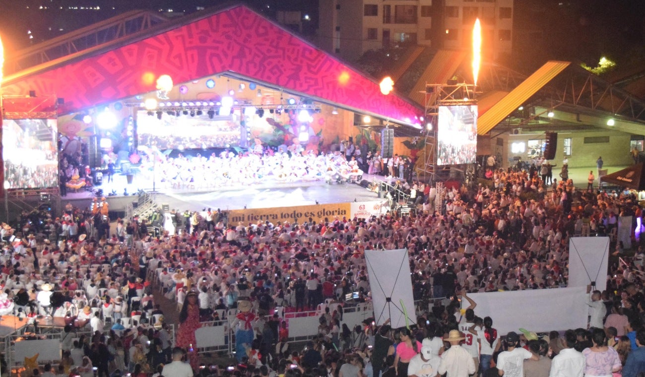 Fiestas de San Pedro: hay alerta por fiebre amarilla