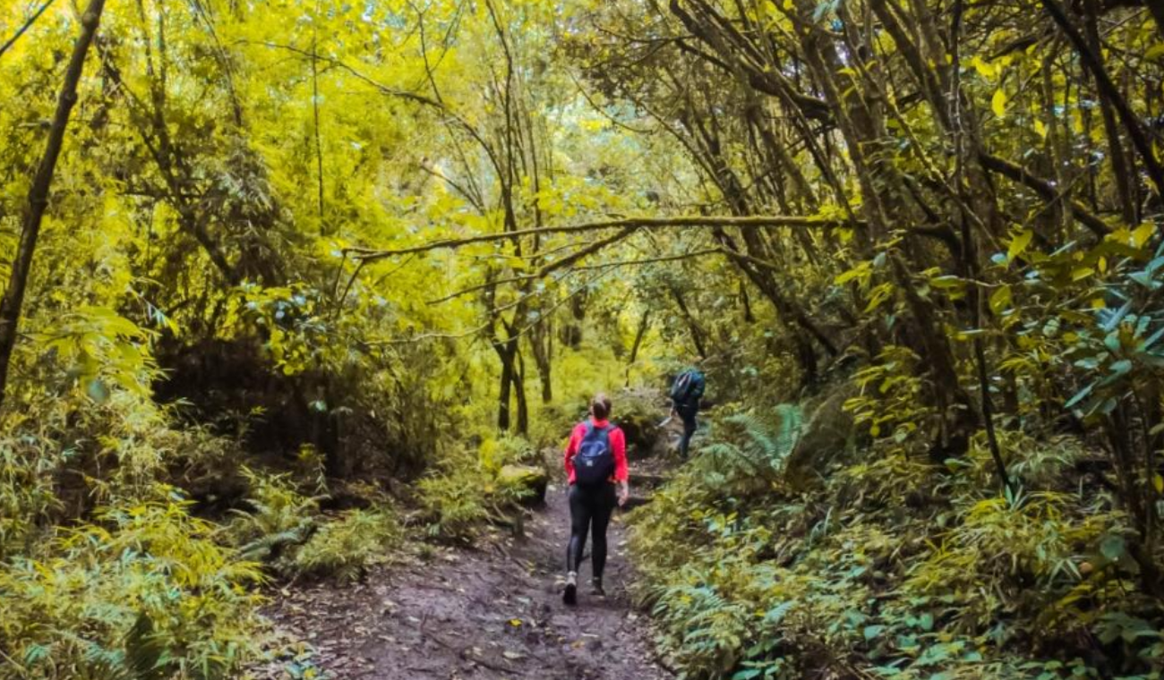 ¿No tiene plan? Caminatas gratis en vacaciones se podrán interesantes
