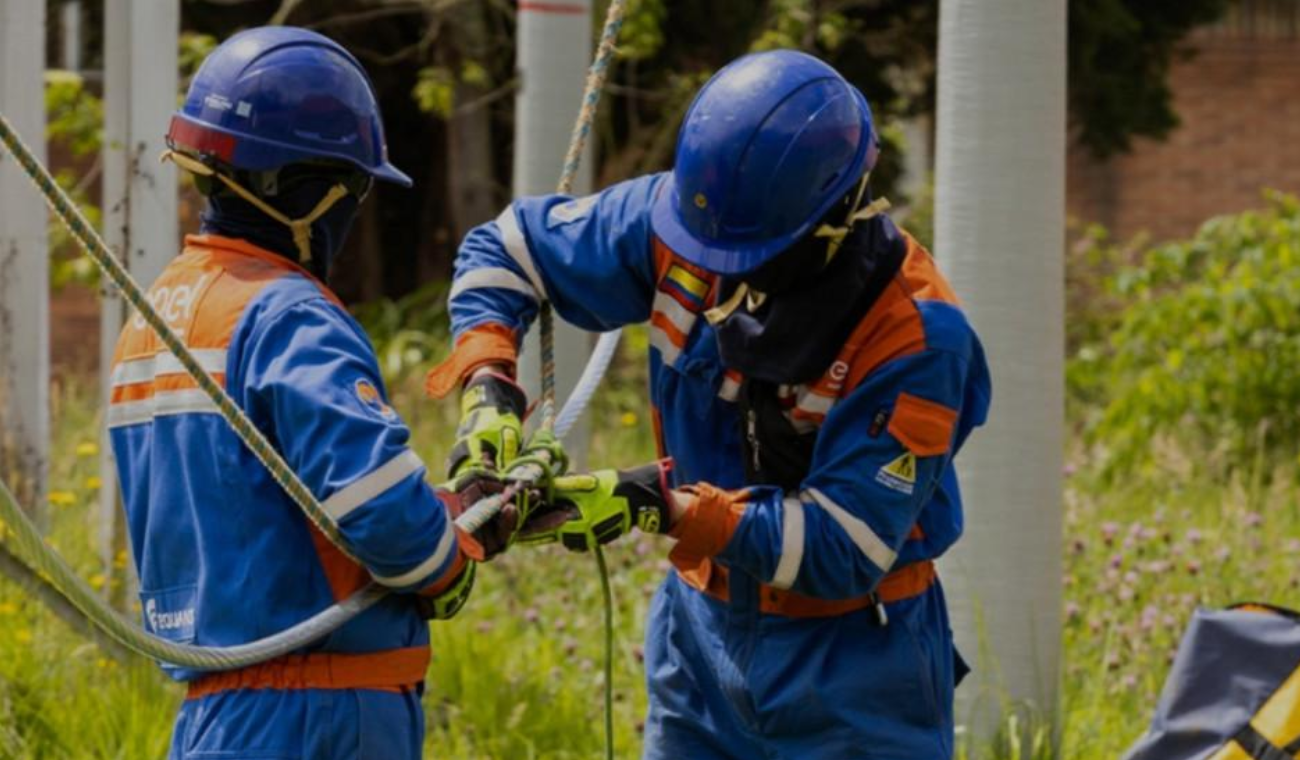 Estafa preocupa a vecinos: falsos funcionarios de Enel lo dejarían pelado