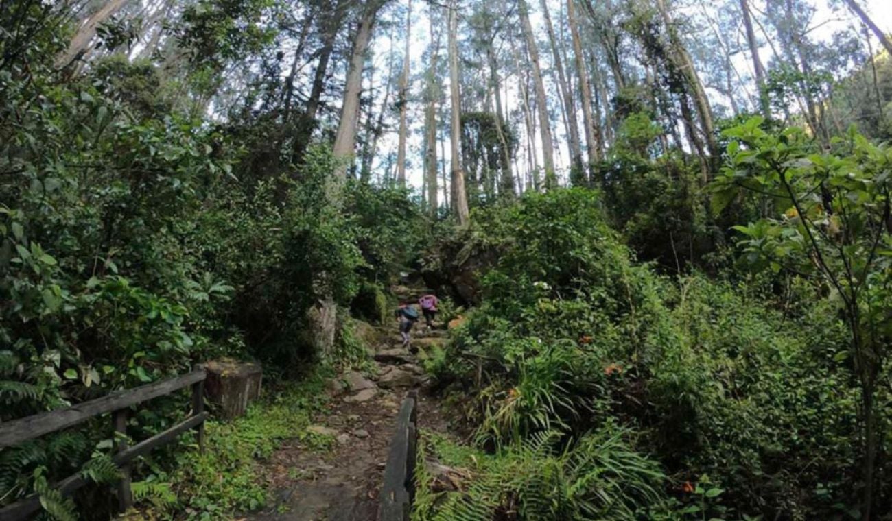 Sedero para visitar en Bogotá GRATIS: así puede agendar su visita