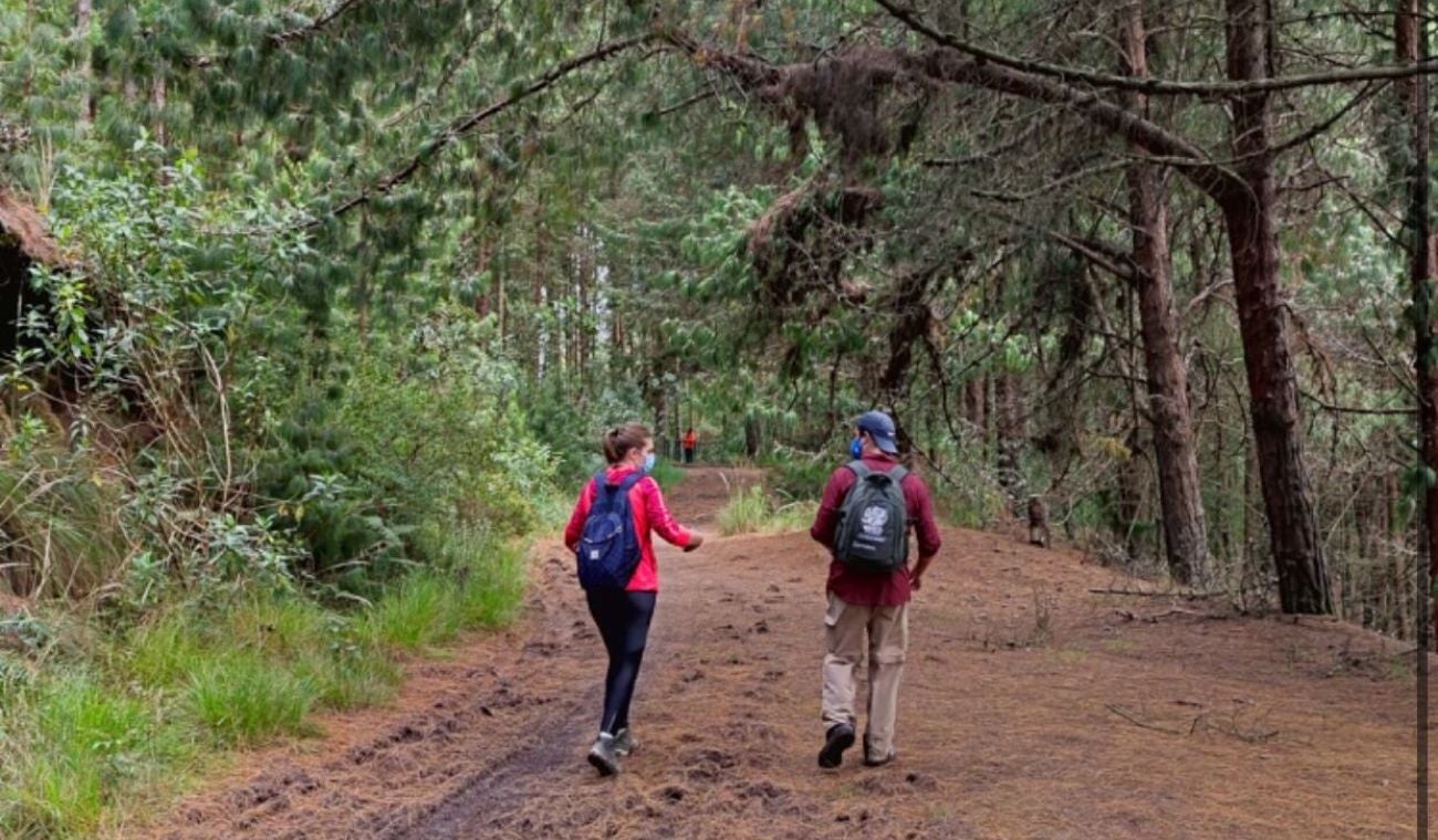 Sedero para visitar en Bogotá GRATIS: así puede agendar su visita