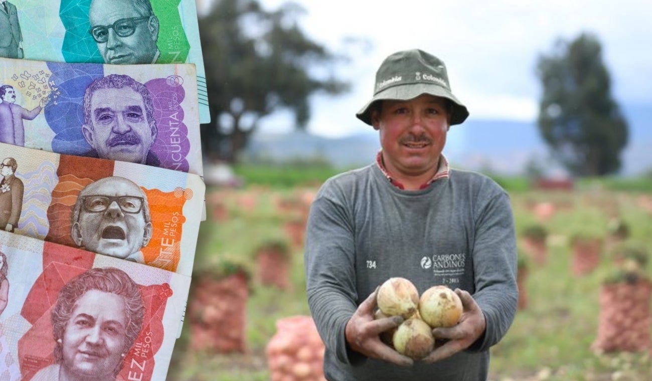 Paperos de Cundinamarca