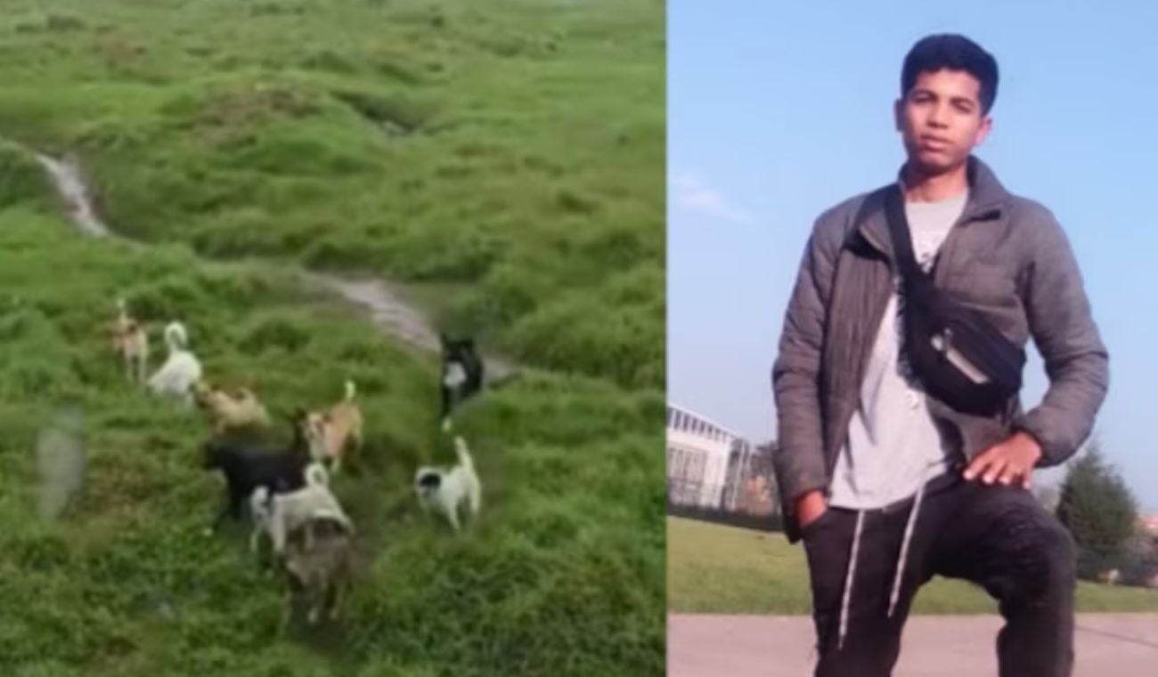 Joven atacado por perros en Bogotá pide ayuda migratoria: “No tengo pensión ni EPS"