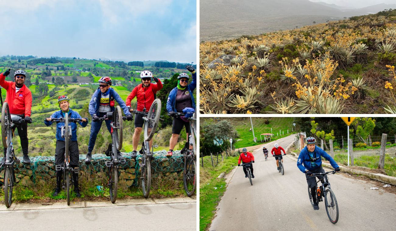 Pedalee entre frailejones: el sendero en bici que enamora a Bogotá