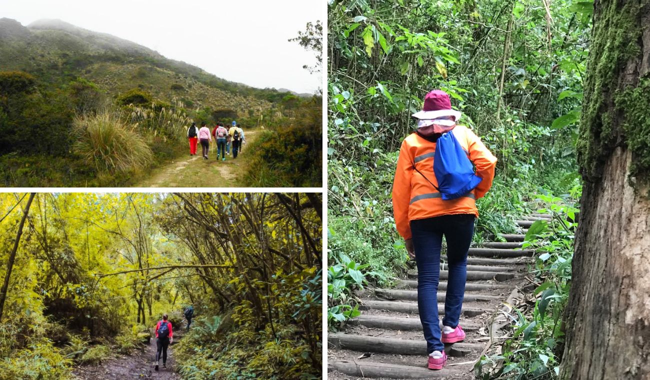 Caminata ecológica gratis: plan perfecto cerca de Bogotá