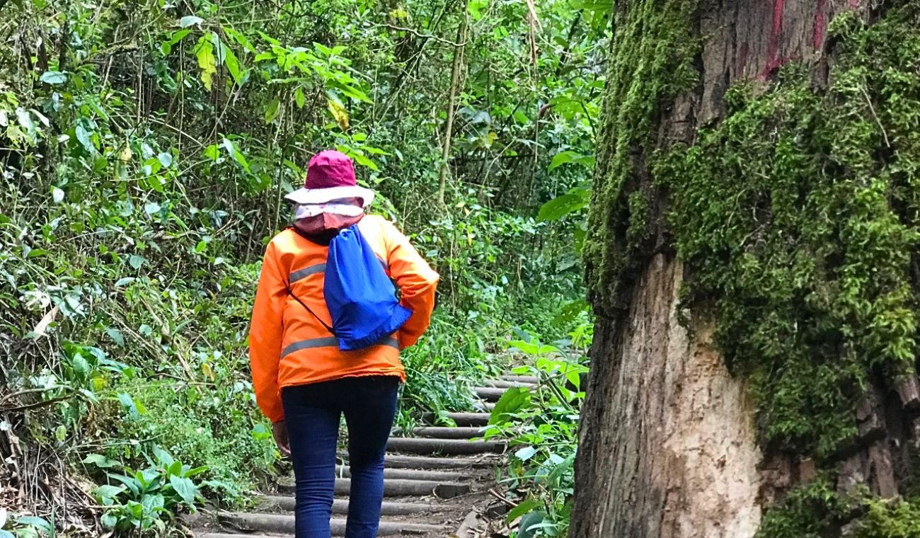 Caminata ecológica gratis: plan perfecto cerca de Bogotá