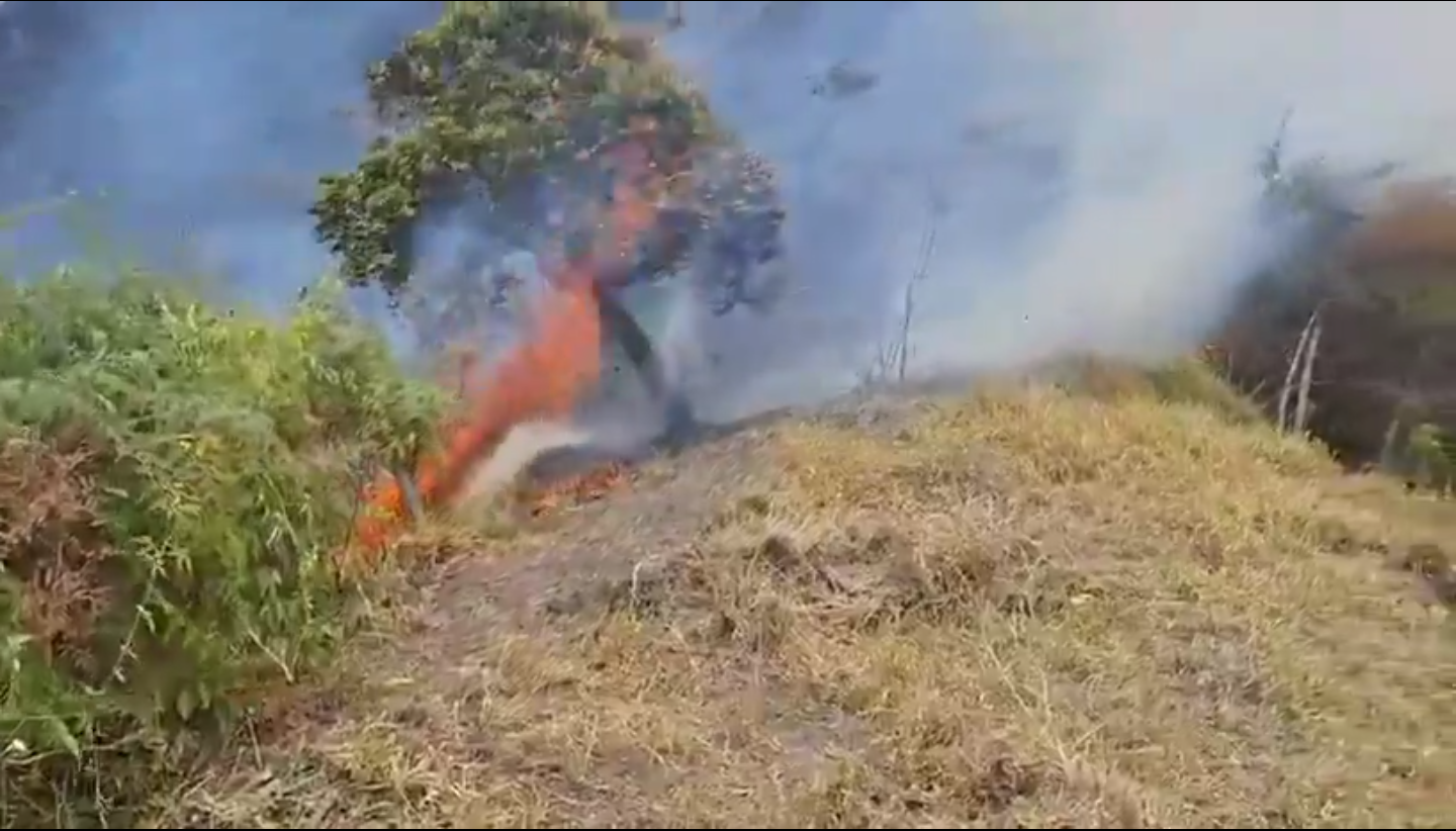 Incendio forestal en la vereda Timaná, en el municipio de Pacho, Cundinamarca.