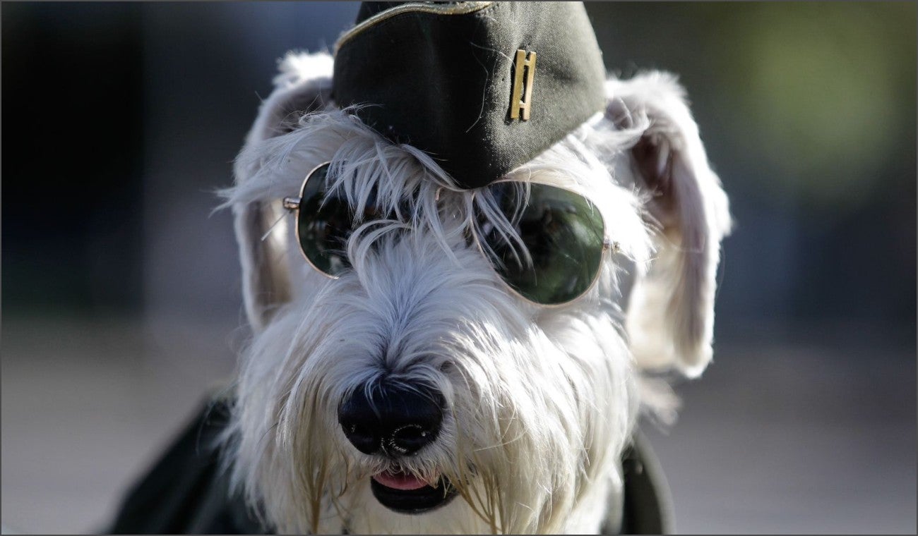 Los preparativos para el desfile del 20 de Julio en Bogotá
