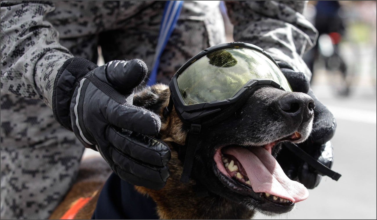 Los preparativos para el desfile del 20 de Julio en Bogotá