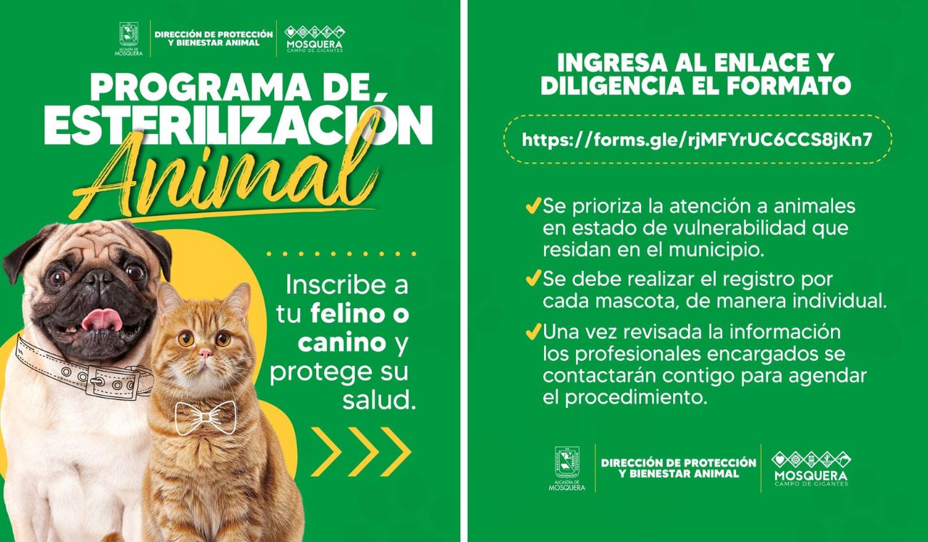 Esterilización gratis para perros y gatos en Mosquera: agende su cita