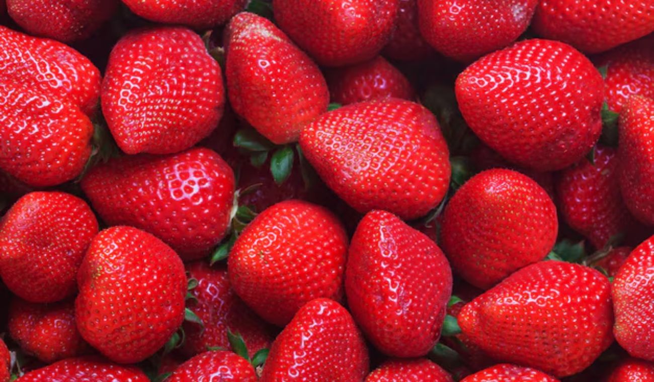 Fresas que come podrían tener popó: revise cómo desinfectarlas en casa