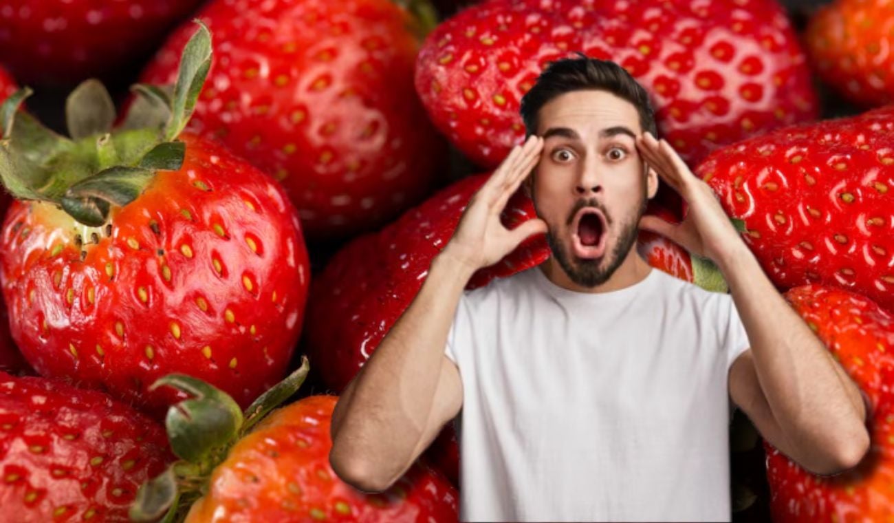 Fresas que come podrían tener popó: revise cómo desinfectarlas en casa