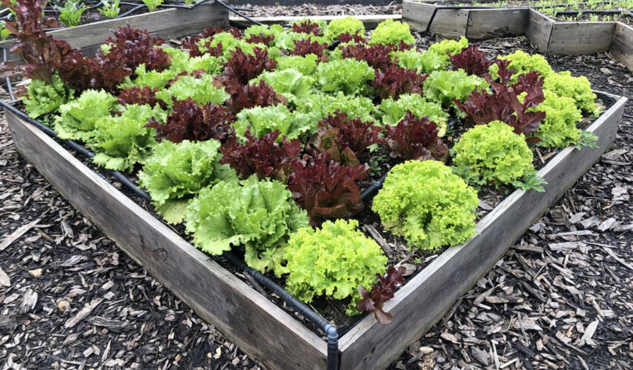 El barrio más limpio de Latinoamérica es de Bogotá y no está en el norte