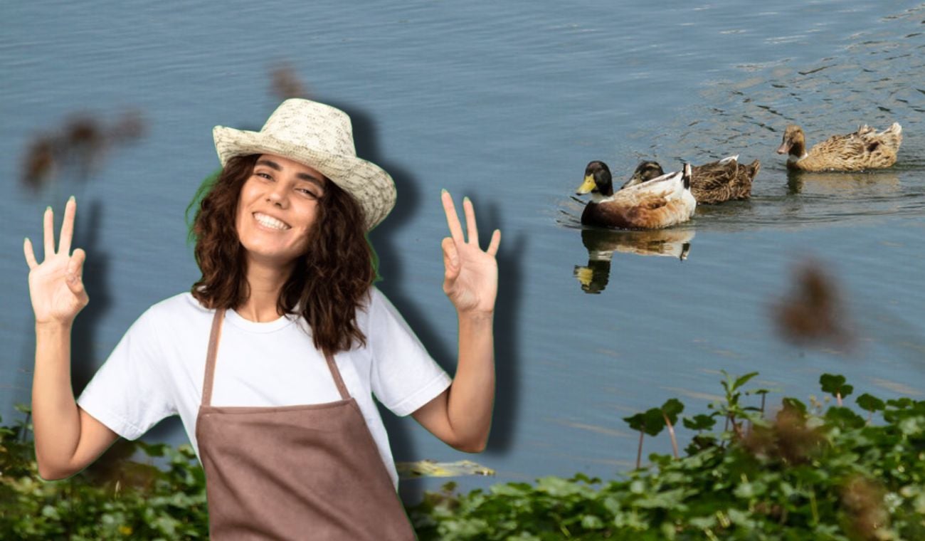 Bogotá busca mujeres que cuiden los humedales: así podrá ser una de ellas