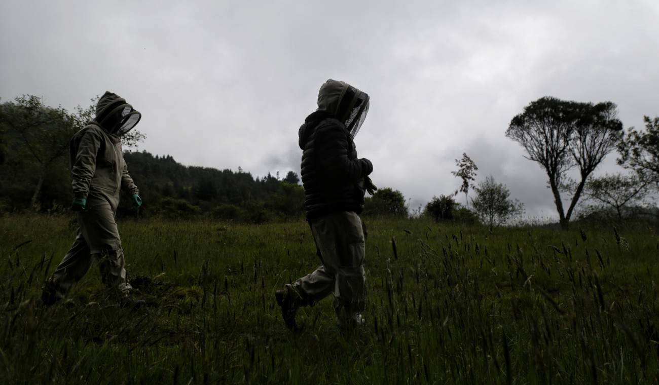 Subida a los cerros de Bogotá podría salirle caro: esto es lo que debe saber para que no la embarre