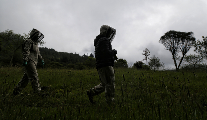 Subida a los cerros de Bogotá podría salirle caro: esto es lo que debe saber para que no la embarre