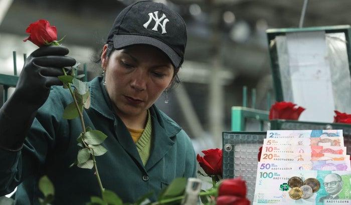 Cambio obligatorio para empresas: empleados saldrán ganando
