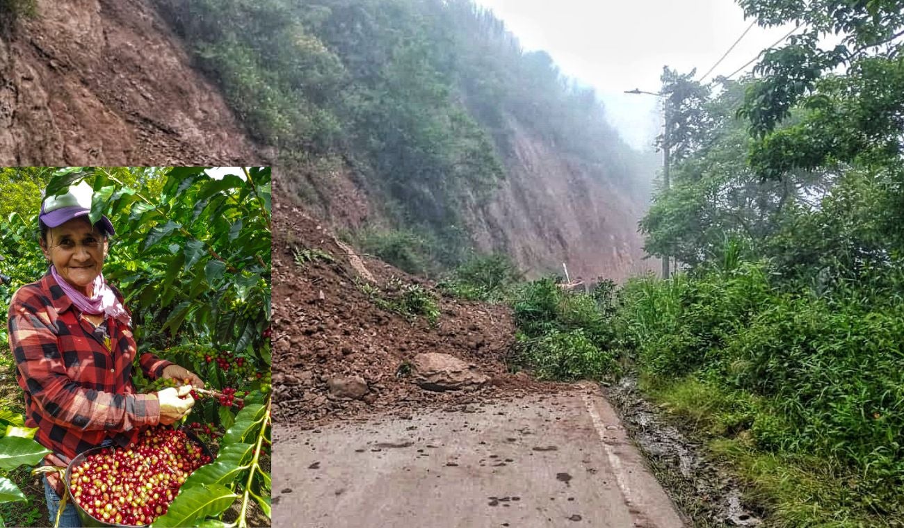 Cosechas estarían en riesgo en Cundinamarca: Municipios que están en alerta