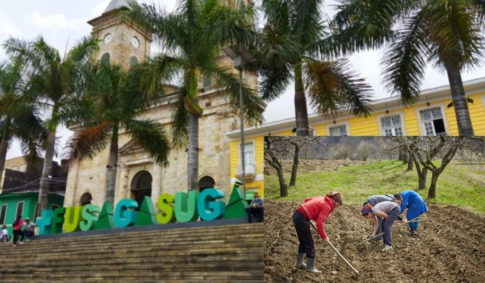 Fusagasugá recibiría ayuda clave para el campo: a trabajar se dijo