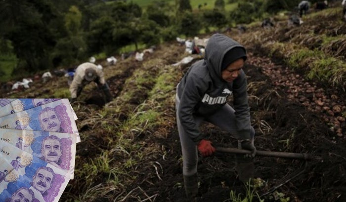 Fusagasugá: estrategia llenaría los bolsillos de los comerciantes