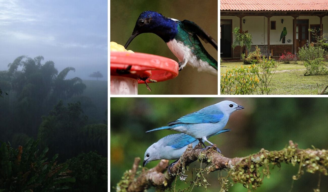 Pueblo de Cundinamarca llamado “Campo de Gigantes” guarda fósiles únicos