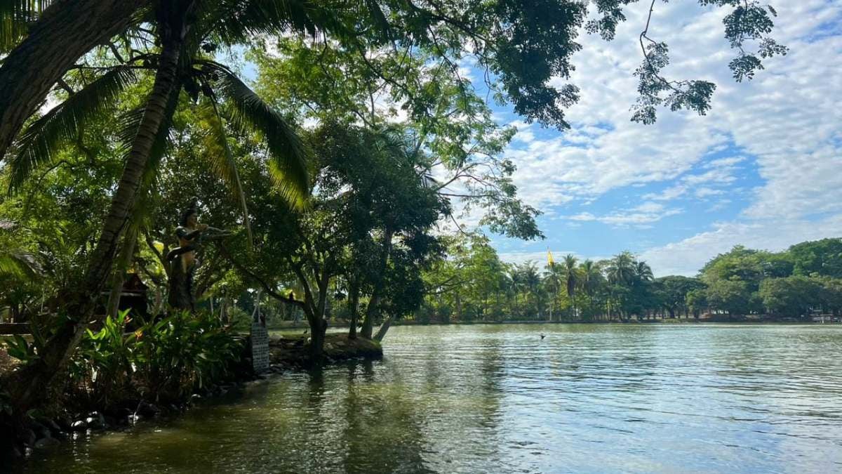 Piscilago | Turismo | Jaguares piscilago | Julio 2025