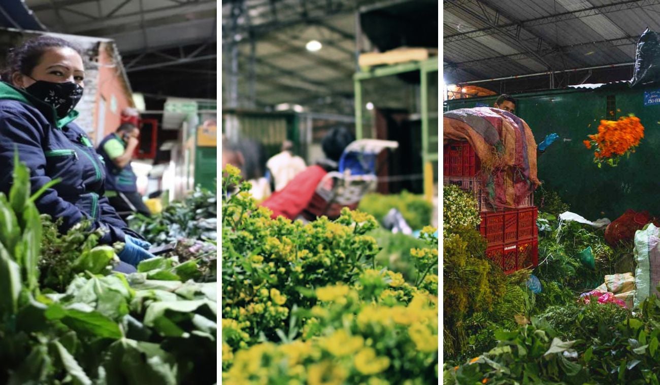 Hierbas, saberes y memoria: lo que guardan las Plazas Distritales de Bogotá